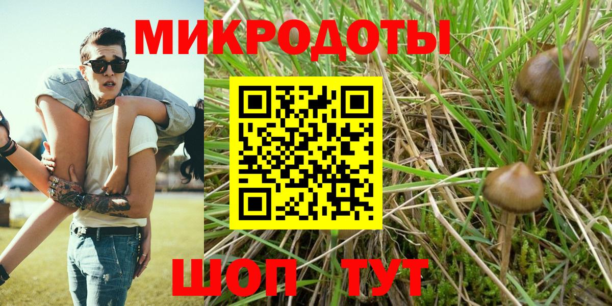 Галлюциногенные грибы ЛСД  Вход с VPN  Галлюциногенные грибы GOLDEN TEACHER  Чебаркуль 