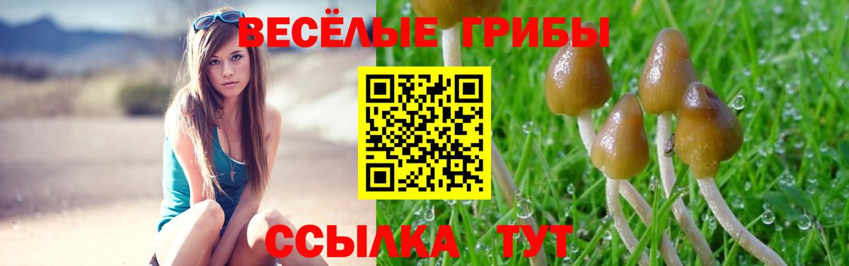 Галлюциногенные грибы Psilocybe Чебаркуль